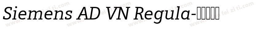 Siemens AD VN Regula字体转换